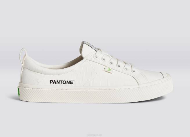 hombres Cariuma lienzo pantone blanco nieve X60616