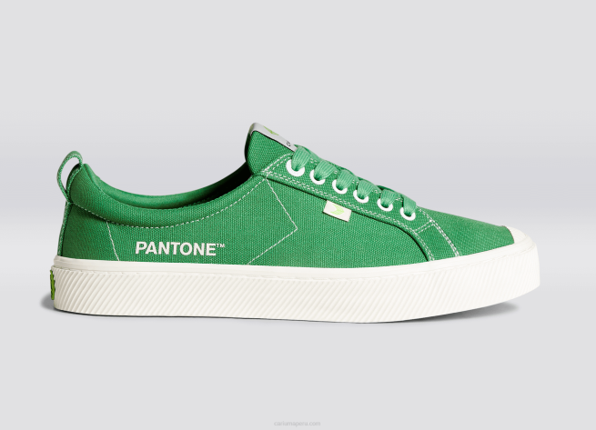 hombres Cariuma lienzo pantone greenbriar X60620