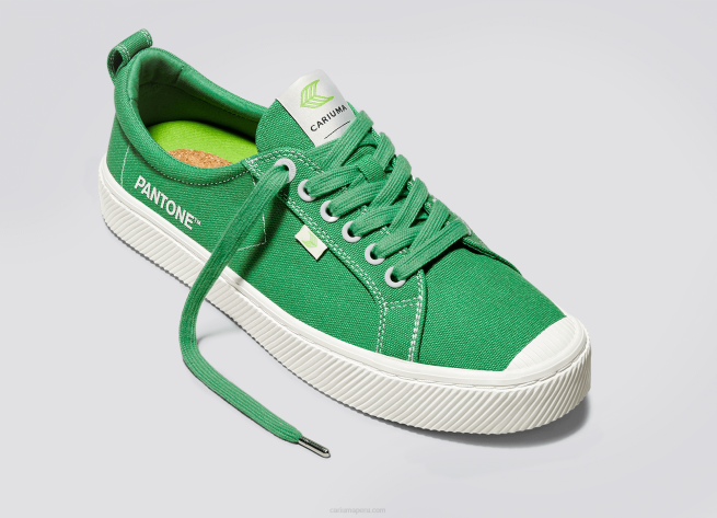hombres Cariuma lienzo pantone greenbriar X60620