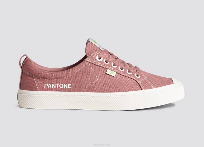 hombres Cariuma lienzo pantone rosa marchita X60618