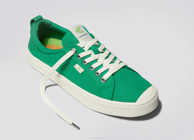 hombres Cariuma lienzo verde X6064