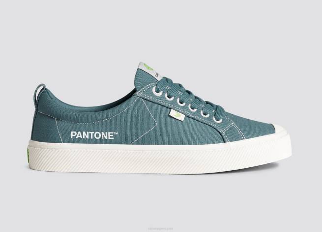 hombres Cariuma pantone tapiz de lona X60619